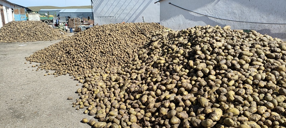 ����ʯ�����(zh��n)�100�� 3.2*18�׵ذ�